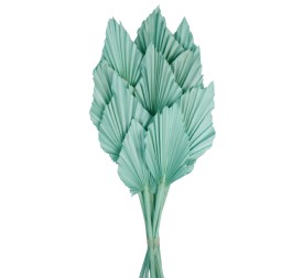 PALM SPEAR 50 cms. 8/10 cms. AZUL (75)