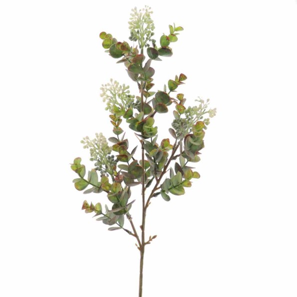 EUCALYPTUS SILVESTRE MIX (9576-01)