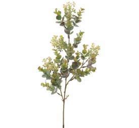 EUCALYPTUS SILVESTRE MIX (9576-13)
