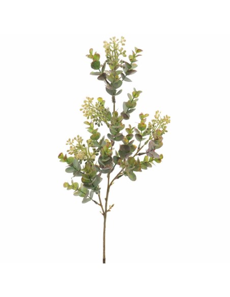 EUCALYPTUS SILVESTRE MIX (9576-13)