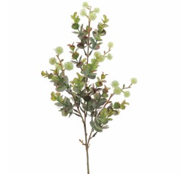 EUCALYPTUS SILVESTRE MIX (9578-09