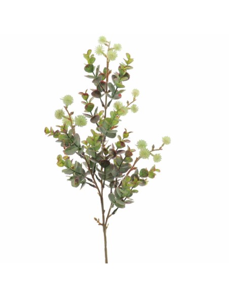 EUCALYPTUS SILVESTRE MIX (9578-09