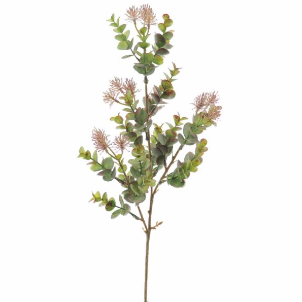 EUCALYPTUS SILVESTRE MIX (9575-31)