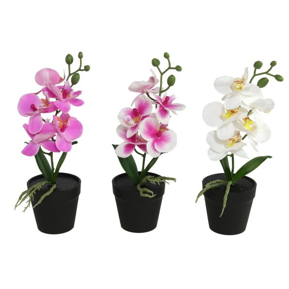 MACETA ORQUIDEAS X 5 R/TOUCH-28 CM (S)