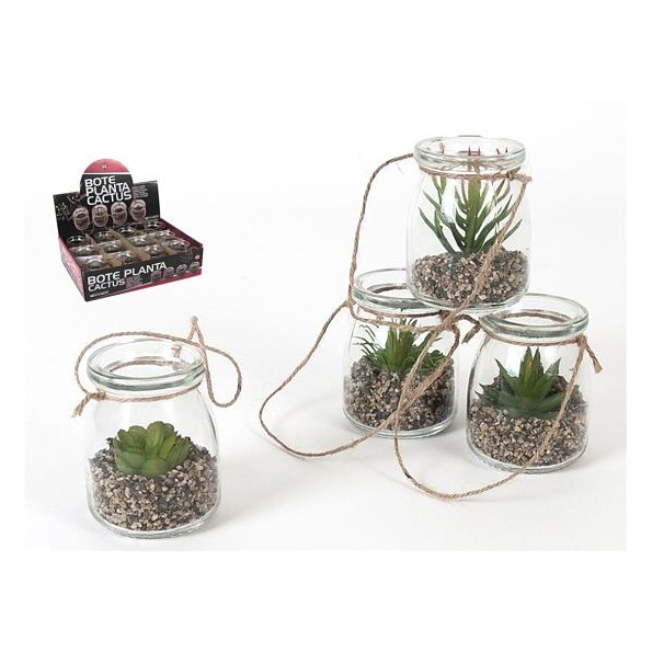 BOTE PLANTA CACTUS 8.5 CM - 4 SURT