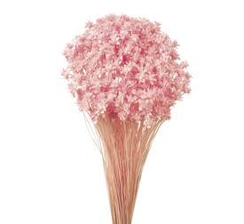 HILL FLOWER 45 cms. ROSA (40)