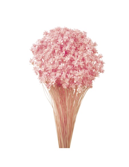 HILL FLOWER 45 cms. ROSA (40)