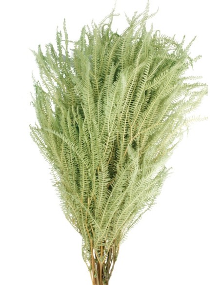 HELECHO x3 PRESS 60/80 cms. VERDE (F60)