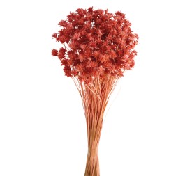 HILL FLOWER 45 cms. ROSA (46)