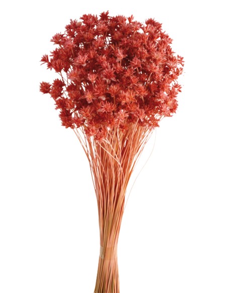 HILL FLOWER 45 cms. ROSA (46)