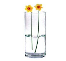 FLORERO CRISTAL R.12*30CM