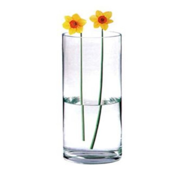 FLORERO CRISTAL R.12*30CM