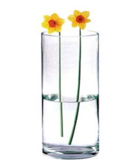 FLORERO CRISTAL R.12*30CM