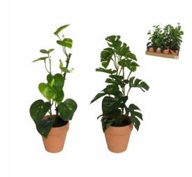 MACETA BARRO POTUS / MONSTERA 45 CM