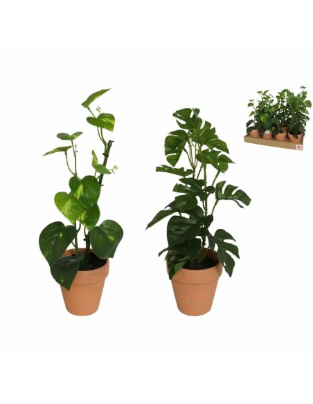 MACETA BARRO POTUS / MONSTERA 45 CM