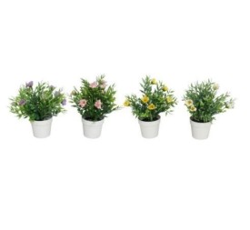 MACETA RANUNKULUS -HERBS -22 CM (SURT)