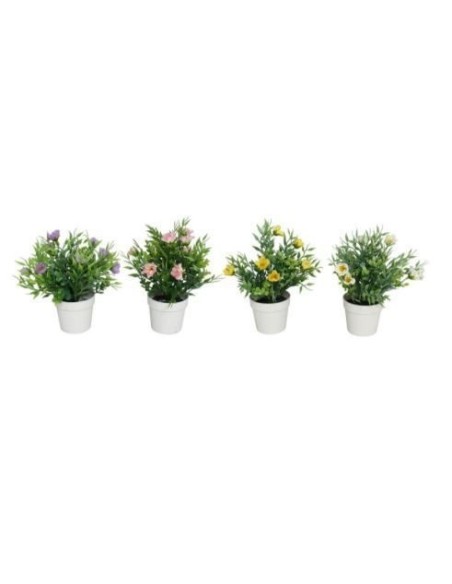 MACETA RANUNKULUS -HERBS -22 CM (SURT)