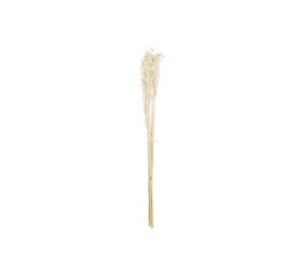 RAMO FLOR SECA 8X3X57 AVENA BEIGE