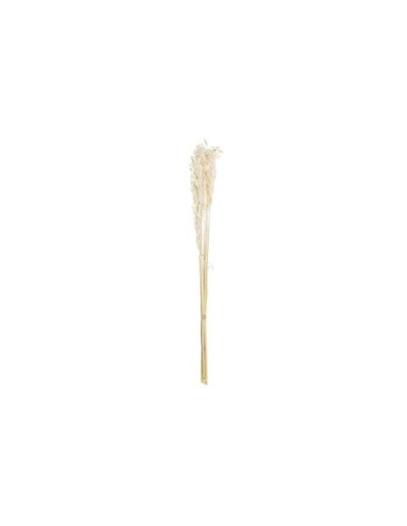 RAMO FLOR SECA 8X3X57 AVENA BEIGE