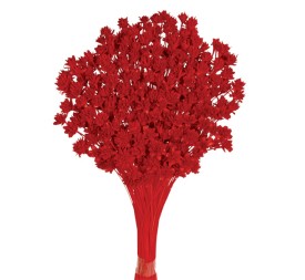 HILL FLOWER 45 cms. ROJO (54)