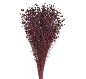 LINO 50 cms. MORADO (87)