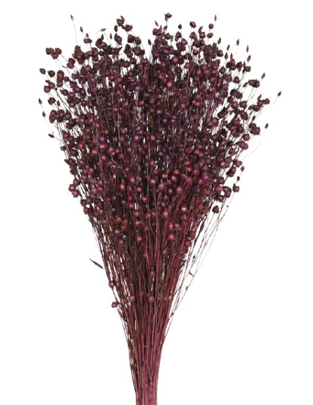 LINO 50 cms. MORADO (87)