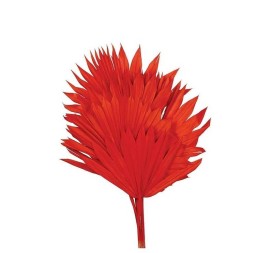 PALM SUN 60 cms. x 15/25 cms. (54)