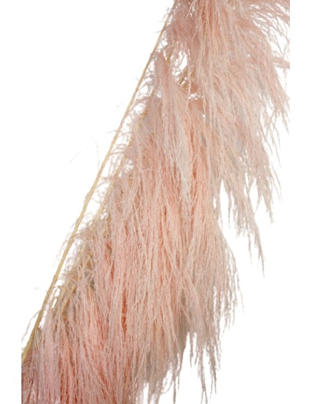 UVA STALK 180 cms. ROSA (40) UVA STALK 180 cms. ROSA (40)