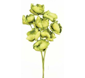 PALM CAP 40 cms. x 8/10 cms. (60)