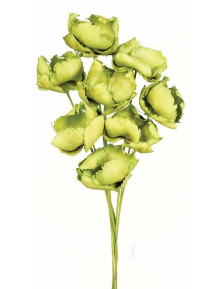 PALM CAP 40 cms. x 8/10 cms. (60)