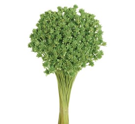 HILL FLOWER 45 cms. VERDE (60)