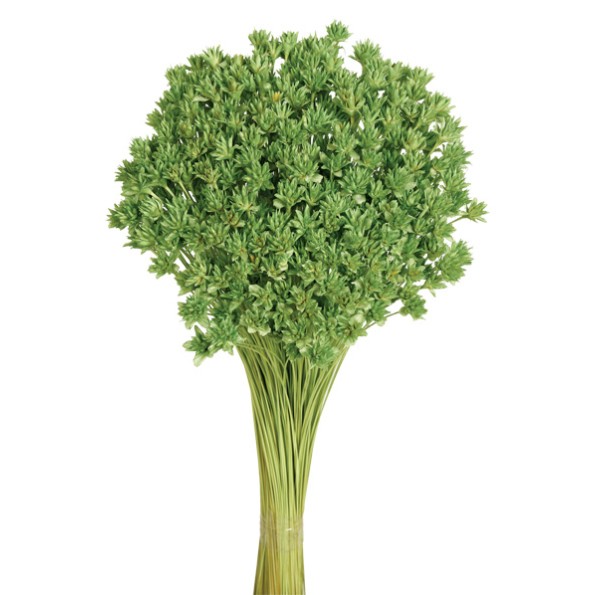 HILL FLOWER 45 cms. VERDE (60)