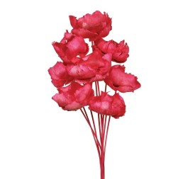 PALM CAP 40 cms. x 8/10 cms. ROSA (45)