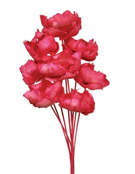 PALM CAP 40 cms. x 8/10 cms. ROSA (45)