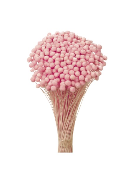 AMARELINHO 45 cms. ROSA (40)