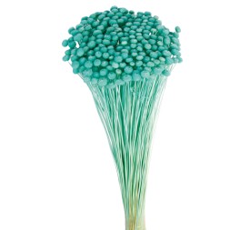 AMARELINHO 45 cms. AZUL (75)