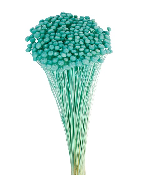 AMARELINHO 45 cms. AZUL (75)