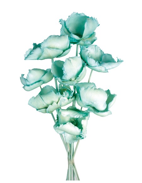 PALM CAP 40 cms. x 8/10 cms. AZUL (75)