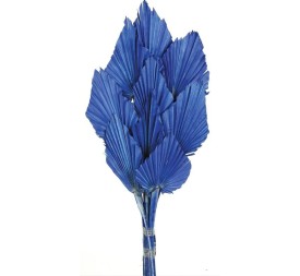 PALM SPEAR 50 cms. 8/10 cms. AZUL (73)