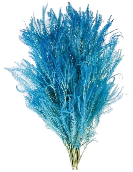 HELECHO x3 PRESS 60/80 cms. AZUL (71)