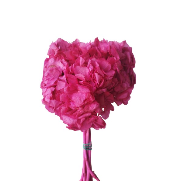 HORTENSIA PRESS. FUCSIA (45)