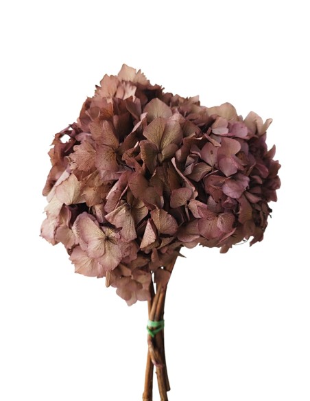 HORTENSIA PRESS ROSA EMPOLVADO (47)