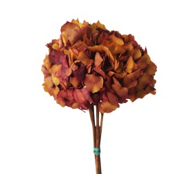 HORTENSIA PRESS. ROJO (59)