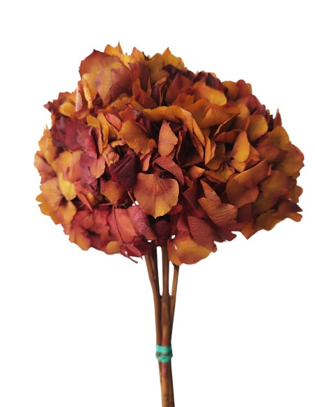 HORTENSIA PRESS. ROJO (59)