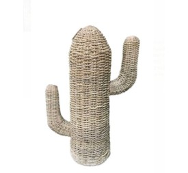 CACTUS  ESPARTO 60cm