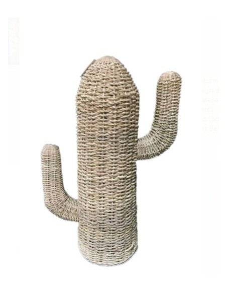 CACTUS  ESPARTO 60cm