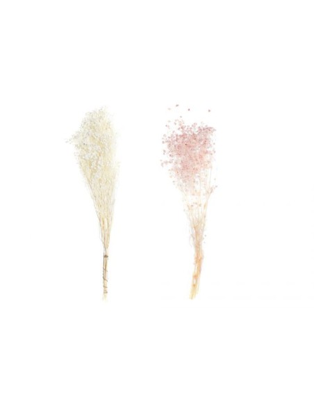 RAMA FLOR SECA 20X20X72 50 GR 2 SURTIDO