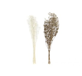 RAMA FLOR SECA 20X20X70 100GR 2 SURTIDO