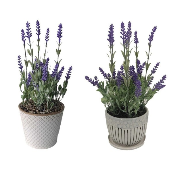 PLANTA CERAMICA PE 11X11X28 LAVANDA 2 SURT.