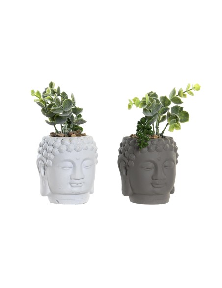 PLANTA CERAMICA PE 8,5X8X14 2 SURTIDO